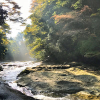 渓谷別邸　もちの木