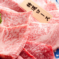 柳苑