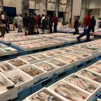 大栄魚類株式会社