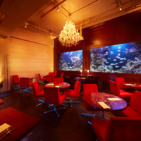 ＤＥＮ アクアルーム 新宿（DEN AQUAROOM SHINJUKU）
