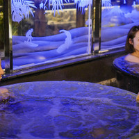 湘南RESORT SPA 竜泉寺の湯