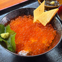 北の鮮魚便 北海丼 園田店 6枚目