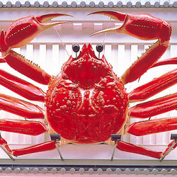 かに道楽 京都本店 1枚目