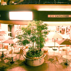 #702 CAFE&DINER なんばパークス店 5枚目