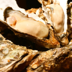 焼はまグリル too 市ヶ谷 8枚目