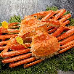 地鶏×鮮魚 個室居酒屋 もみじ屋 デックス東京ビーチ店 5枚目