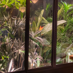 シーシャ Cafe&Bar DAYLIGHT 六本木店 5枚目