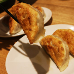 恵比寿餃子 大豊記 五反田（タイホウキ） 7枚目