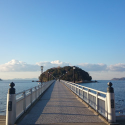 蒲郡市観光協会 8枚目