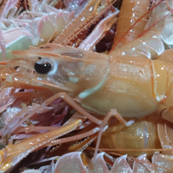 蒲郡市観光協会 6枚目