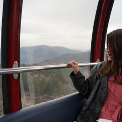 大涌谷くろたまご館 7枚目