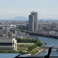 日本料理もちづき 8枚目