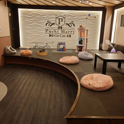 猫カフェPuchi Marry京都河原町店 6枚目