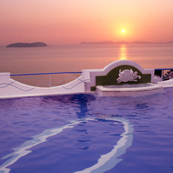 蒲郡市観光協会 7枚目