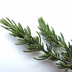 和伊わい亭 5枚目