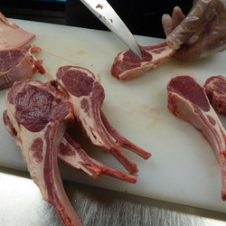 ヤマダモンゴル市ヶ谷店 3枚目