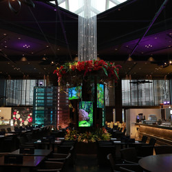 リュクス ダイニング ハプナ  1枚目