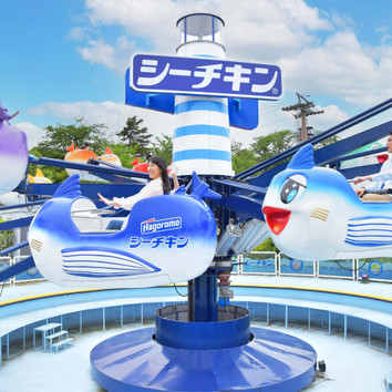 施設画像