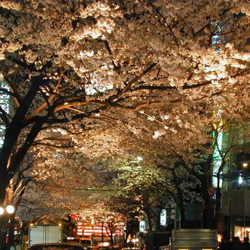 マンダラ 渋谷店 1枚目