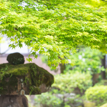 萩の宿 常茂恵 2枚目