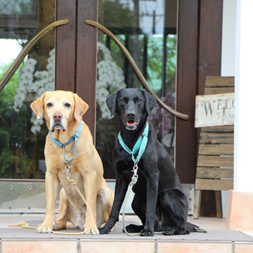 フィオーレ志摩 3枚目