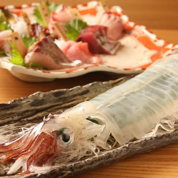 上野イカセンター 1枚目