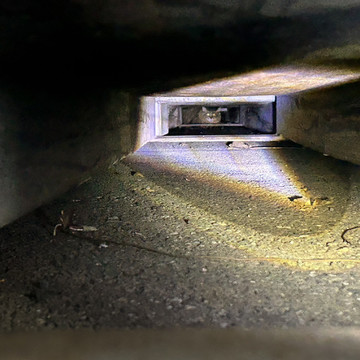 猫塾-nekojuku- 2枚目