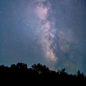 遊び小屋コニファー 1枚目