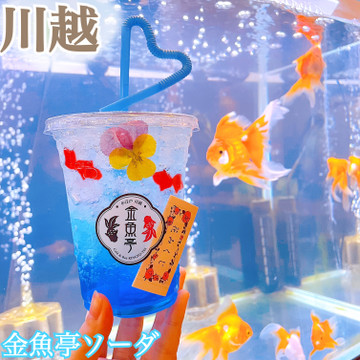 Café & Bar 金魚亭 1枚目