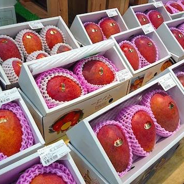 島の駅みやこ 3枚目