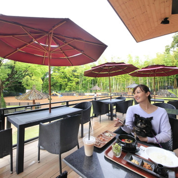 愛犬の駅 伊豆高原 3枚目