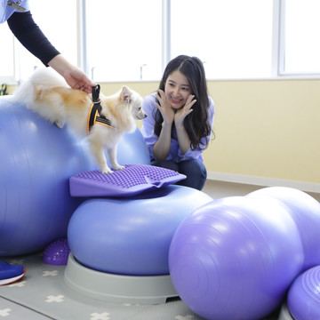 レジーナリゾート鴨川 2枚目
