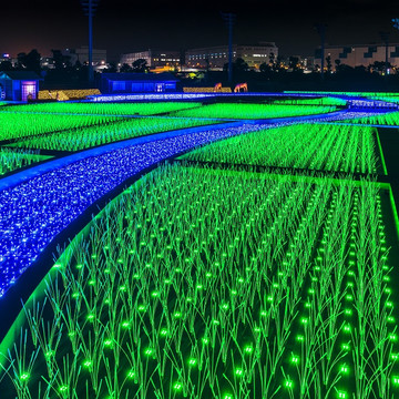 TOKYO MEGA ILLUMINATION 3枚目