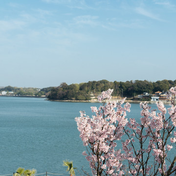 ホテルリステル浜名湖 3枚目