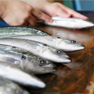 藍ヶ江水産 1枚目