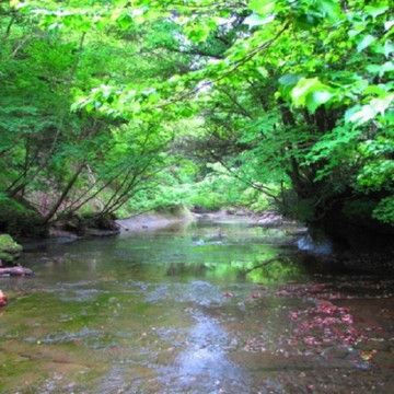 鹿の音がこだまするお宿　離れ　花山水 3枚目