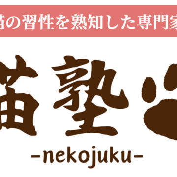 猫塾-nekojuku- 1枚目