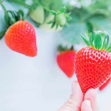 ヒロファーム 2枚目