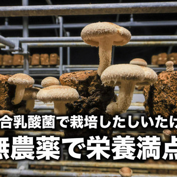 KIGARUオンラインショップ 3枚目