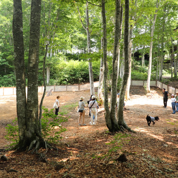 白馬岩岳マウンテンリゾート 2枚目