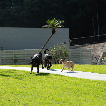 DOGLAMPING GT HOUSE 1枚目