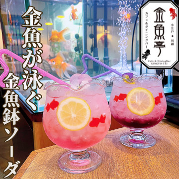 Café & Bar 金魚亭 2枚目