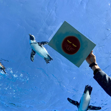 アトリエイッセイ 3枚目