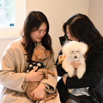 牛滝温泉　四季まつり 3枚目