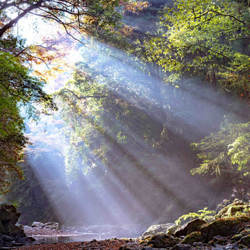 ミューの森 2枚目