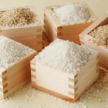 正しい晩ごはん 白-はく- 2枚目