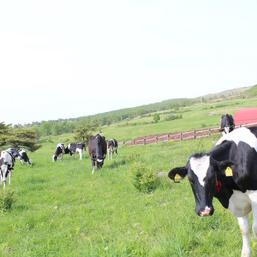 一般社団法人 信州上田観光協会 3枚目