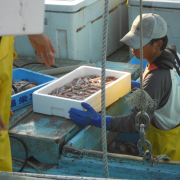 大栄魚類株式会社 3枚目