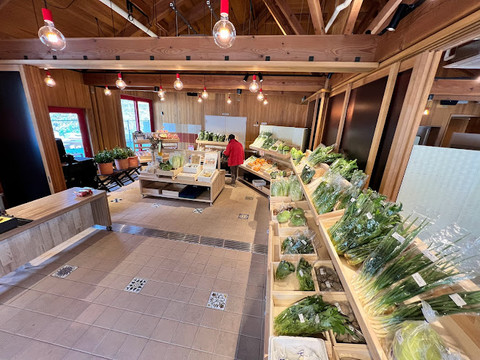 採れたての地元野菜を