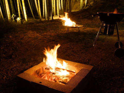 自然でできるアクティビティ